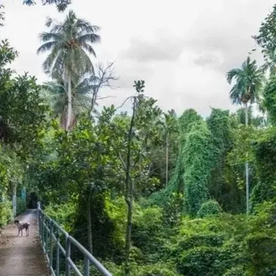 Bang Krachao Itinerary - Bangkok's Green Lung